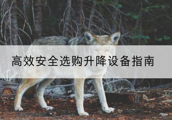 江川升降货梯厂家推荐-*安全选购升降设备指南