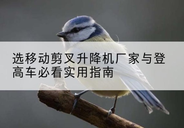 江川电动升降机厂家-选移动剪叉升降机厂家与登高车必看实用指南